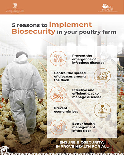 5 Reason to Implement Biosecurity in Your Polutry Farm