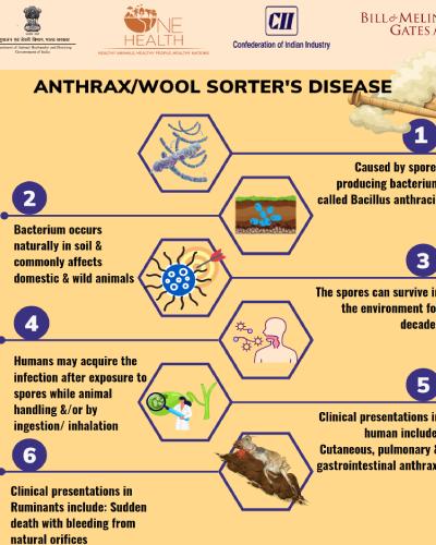 anthrax sorters disease