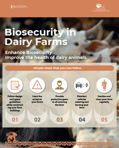 biosecurity in a diary farm
