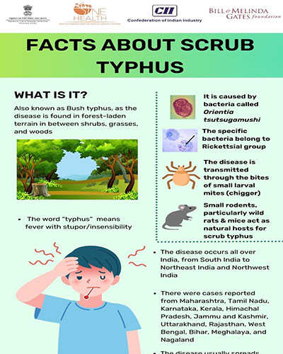 Fact About Scrub Typhus