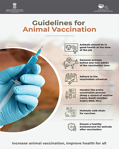 Guidelines of Animals Vaccination