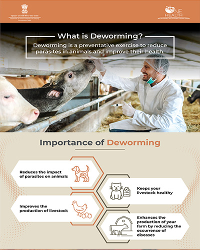 Importance Of Deworming