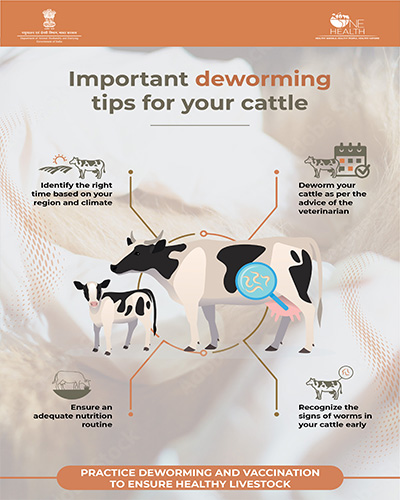 Important Deworming Tips For Your Cattle