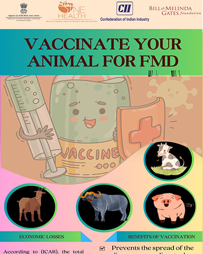 Vaccinate Your Animal For FMD