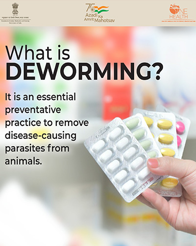 Why is Animal Deworming