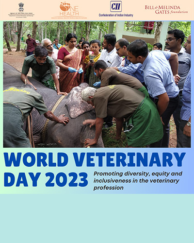 world veterinary day 2023